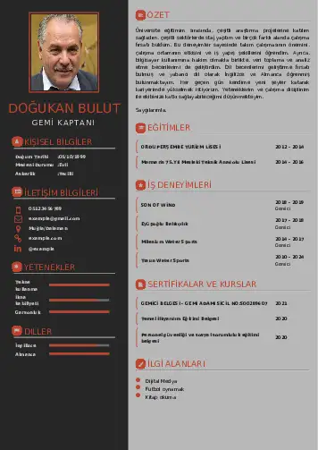 Gemi Kaptanı CV Örnekleri cv indir